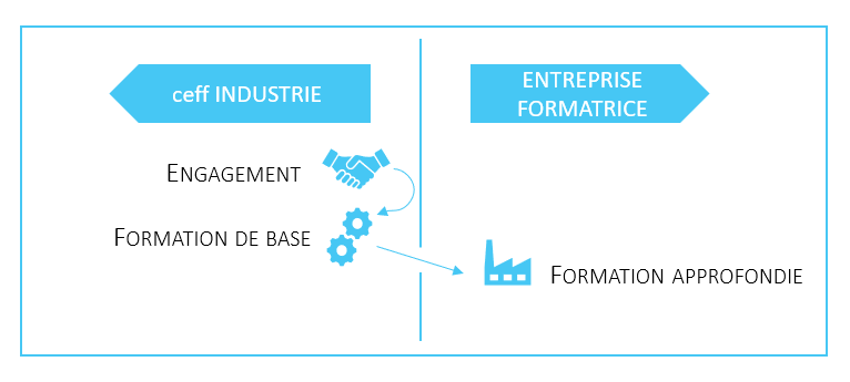 Bûcheron : découvrez le métier, les formations et le salaire